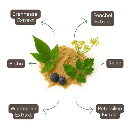 Entwässerungskapseln